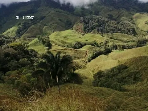 Farm for Sale