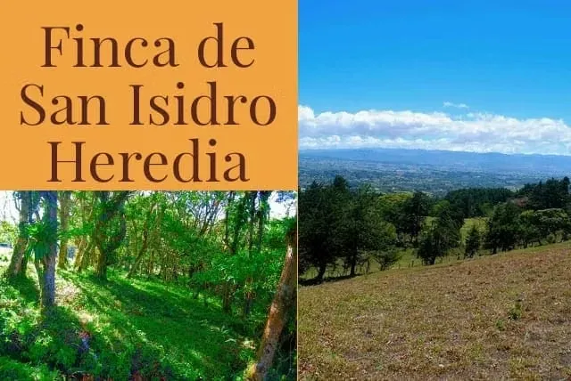 BEAUTIFUL FARM FOR SALE IN CONCEPCION DE SAN ISIDRO DE HEREDIA
