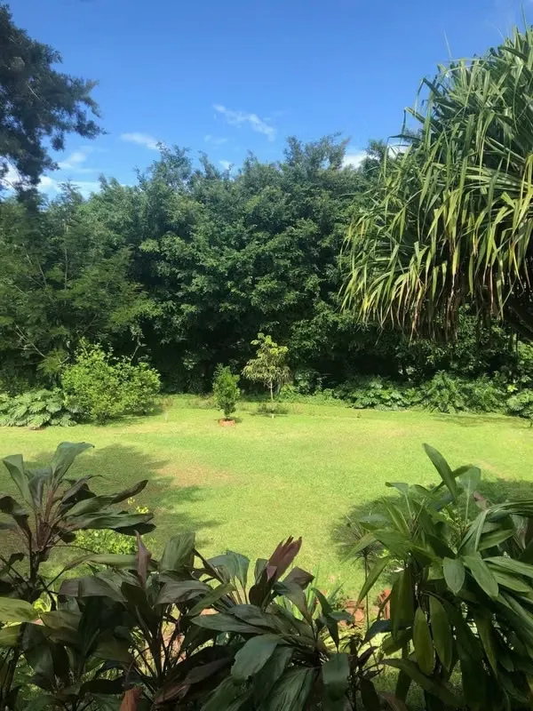 PROPERTY FOR SALE IN GRECIA, ALAJUELA