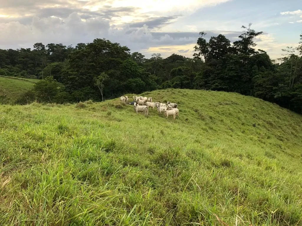 LAND FOR SALE IN SAN CARLOS