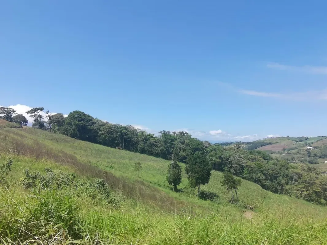 PROPERTY FOR SALE IN CONCEPCIÓN OF SAN RAMÓN.