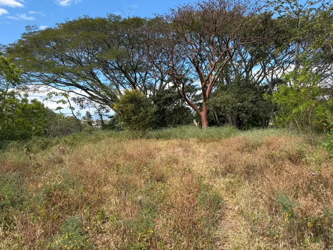 This beautiful lot has a natural environment and nice houses on similar lots with plenty of space between one and the other.