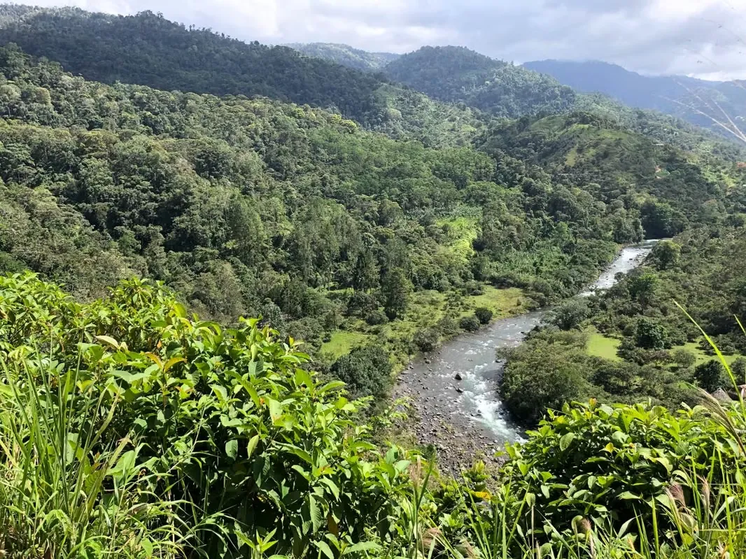 Farm for sale in Turrialba, Paso Marcos