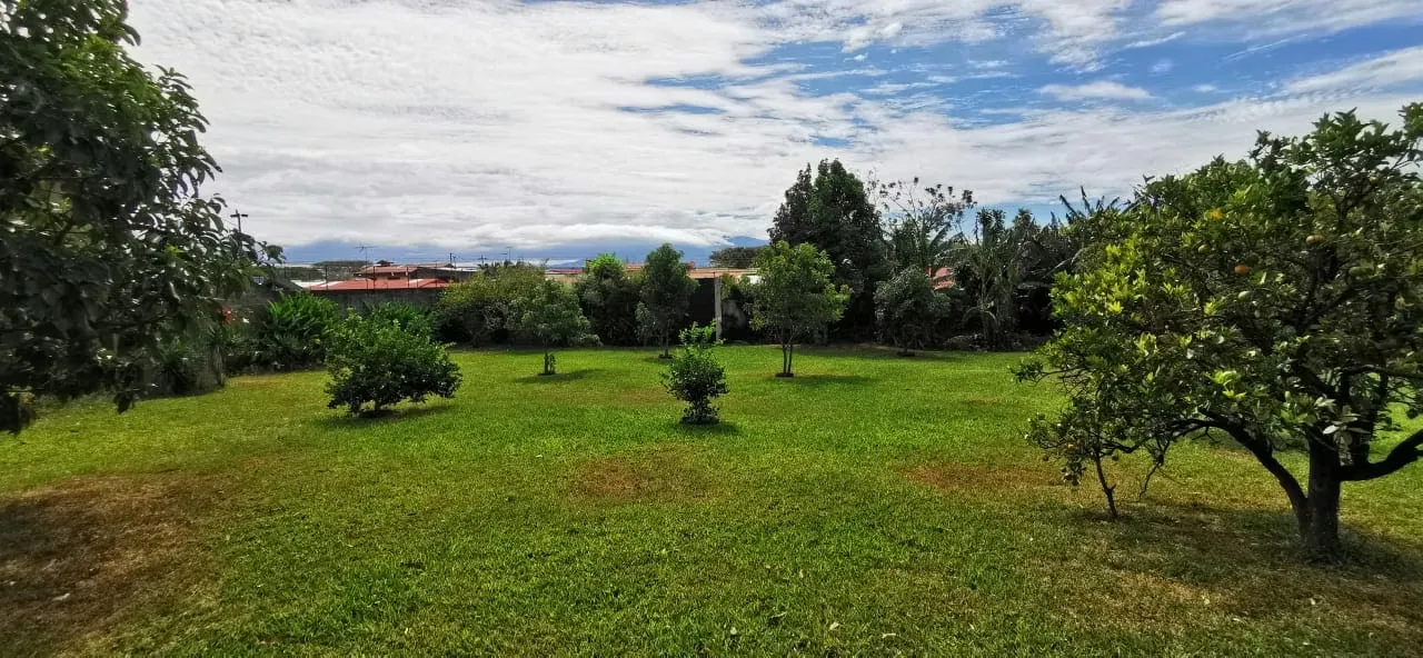 Alajuela, La Trinidad, #413 excelente lote!