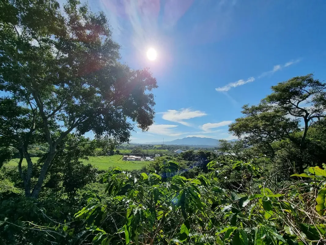EN VENTA - FINCA PARA DESARROLLO RESIDENCIAL – TACARES DE GRECIA