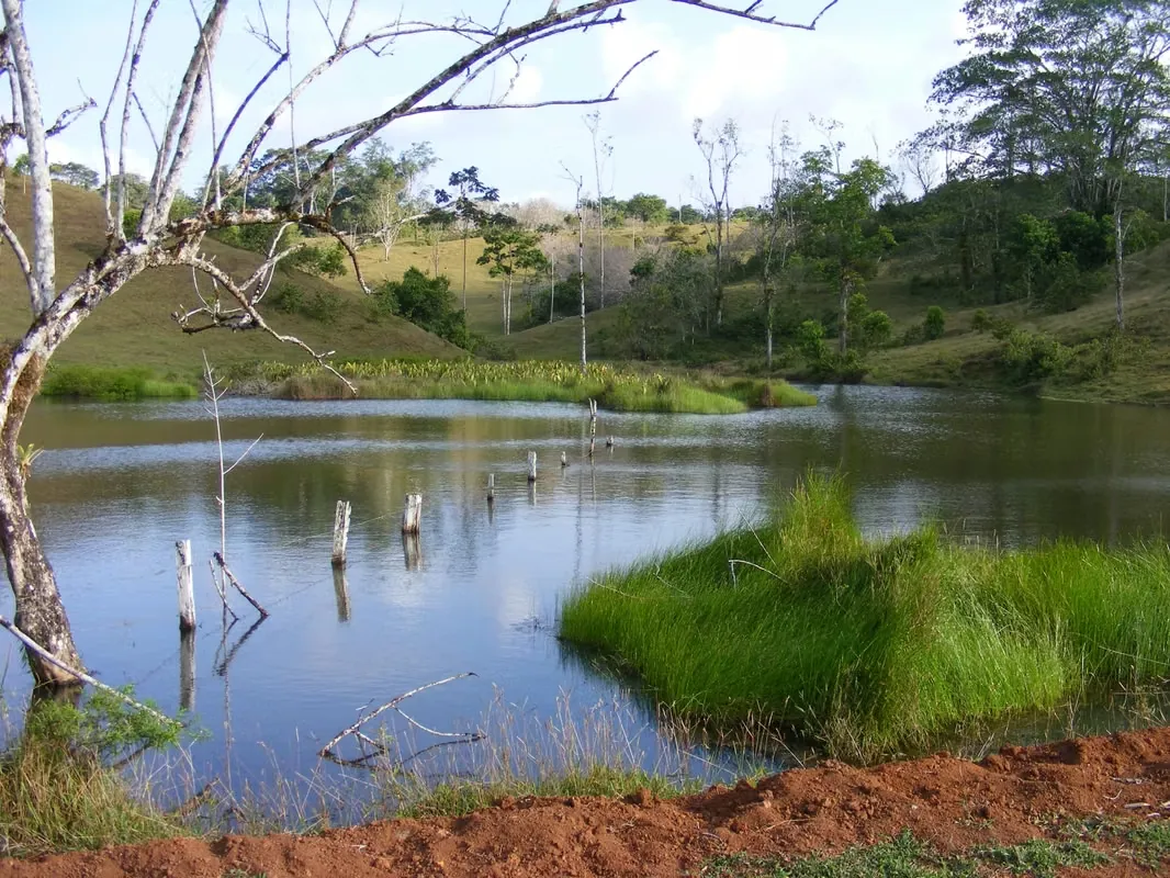 Sale Finca Chamorro Cutris San Carlos