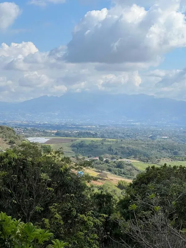 LOT FOR SALE IN GRECIA