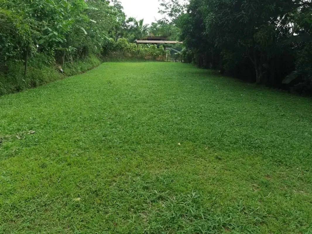 Oportunidad Venta para Quinta en San Ignacio de Acosta