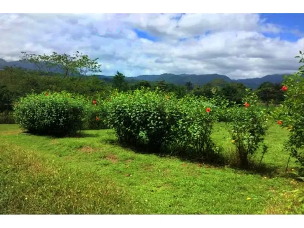 VENTA DE LOTE, ALAJUELA, SAN CARLOS, PEÑAS BLANCAS, CHACHAGUA.