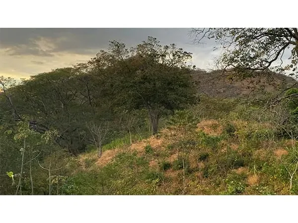 Terreno a sólo 3 km de Playa Grande, Guanacaste, Costa Rica