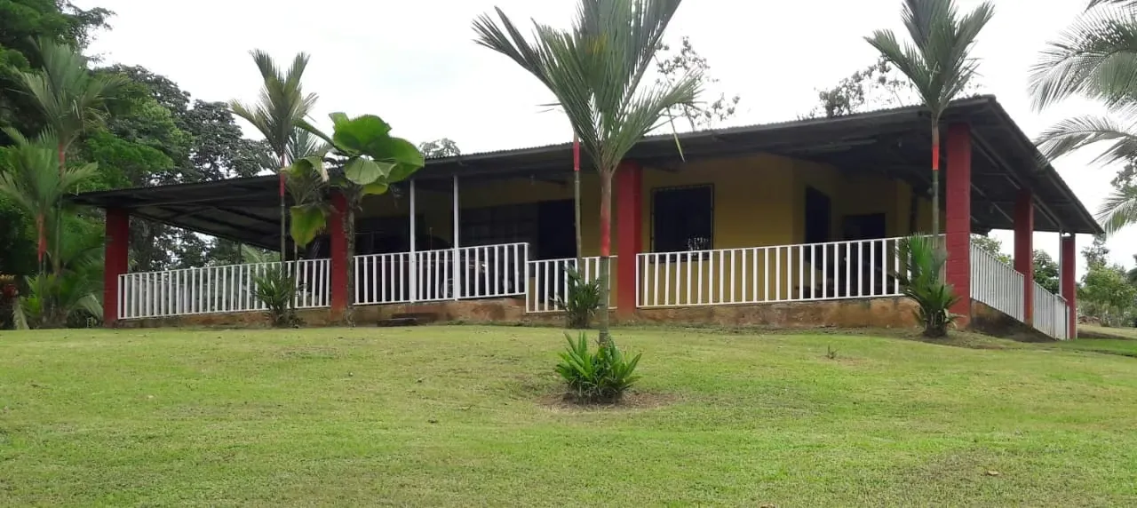 Farm for sale, Pocora, Guacimo