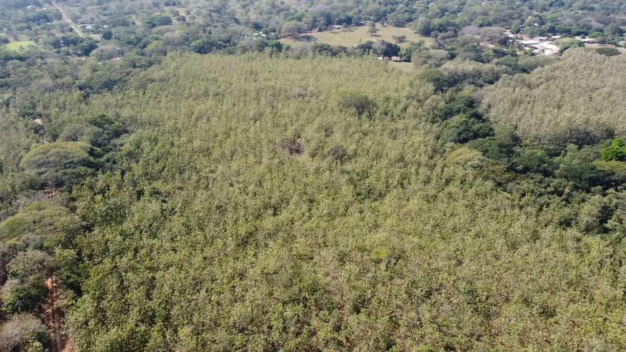 Beautiful land practically flat, suitable for all types of tourist development, urbanistico, houses, fifths.
