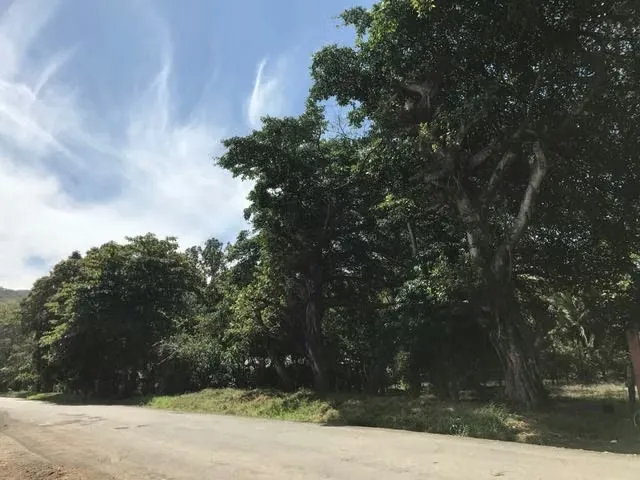 Turrubares - San Pablo - San José - beautiful property