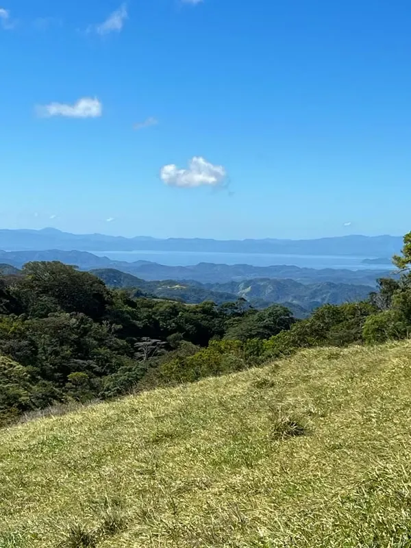 PROPERTY FOR SALE IN SAN RAFAEL, PUNTARENAS