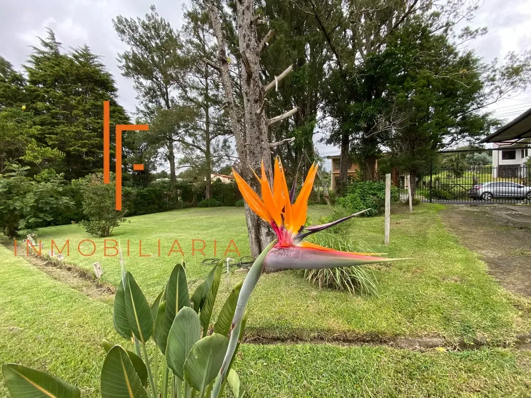 Se alquila Apartamento 1 Persona en San Isidro Heredia