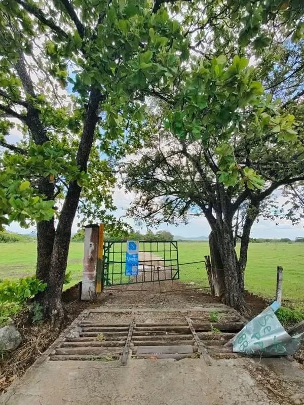 Finca in Bethlehem, Carrillo.