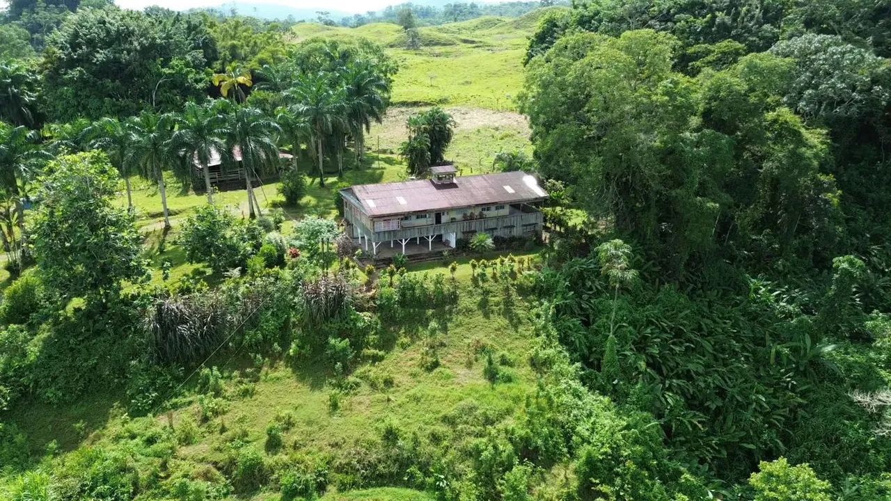 Se vende finca de 270 hectáreas en Tres X, Turrialba, Cartago.