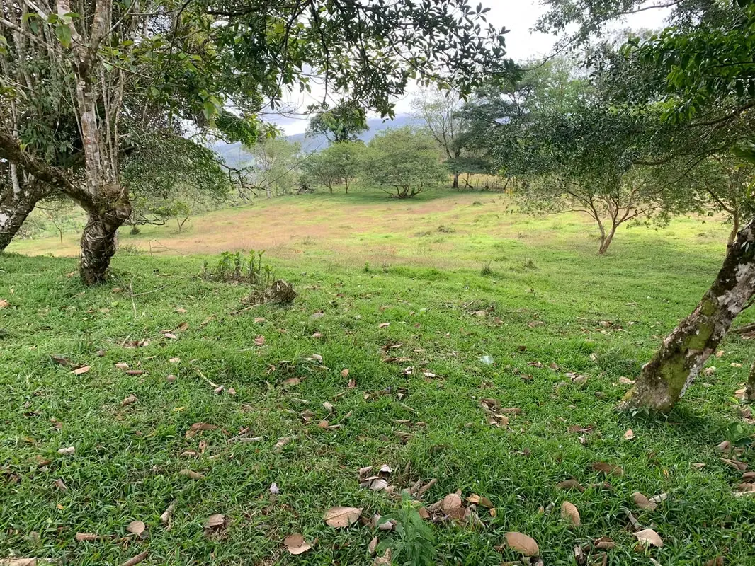 Se vende propiedad, San Pablo, Ciudad Quesada