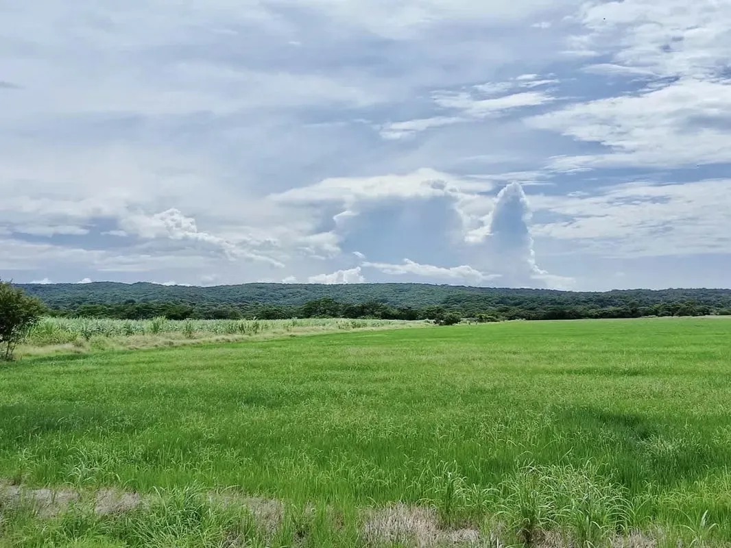 For sale farm Guanacaste Bagaces 12.5 acres