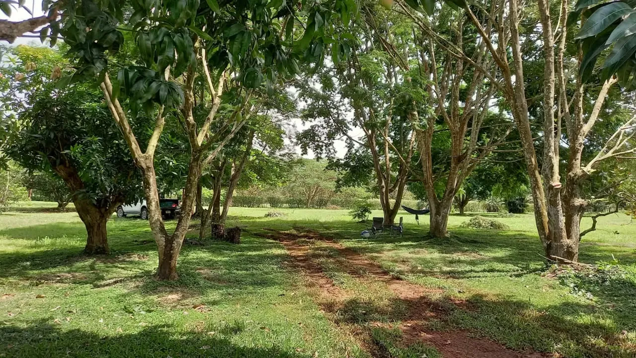 Lote Labrador San Mateo, Alajuela