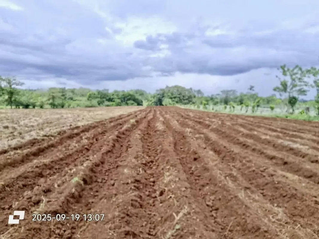 Venta finca San Carlos Katira ideal  agr turistico