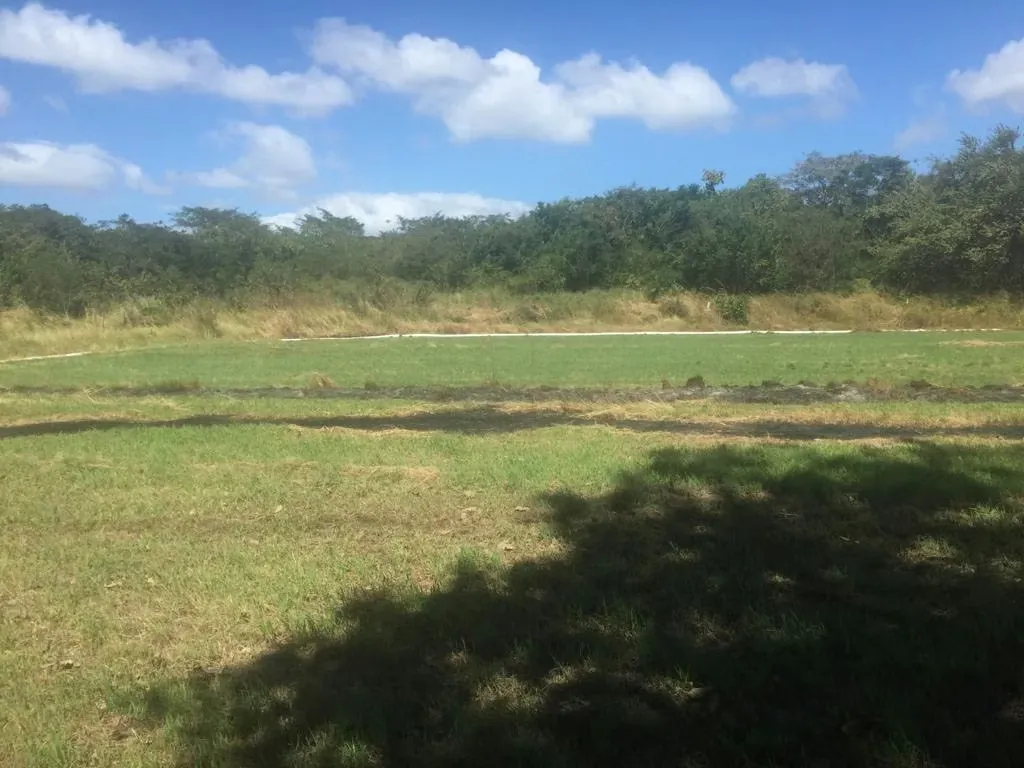 Sale farm Guanacaste Bagaces rice and other crops