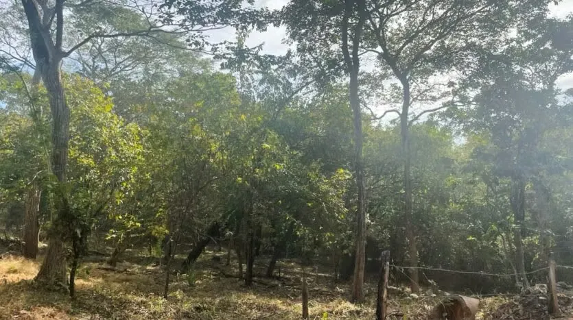 In Tamarindo, a beautiful property with privileged location, just a step away from the pristine beach of Tamarindo Langosta. This lot offers an excellent opportunity for ...