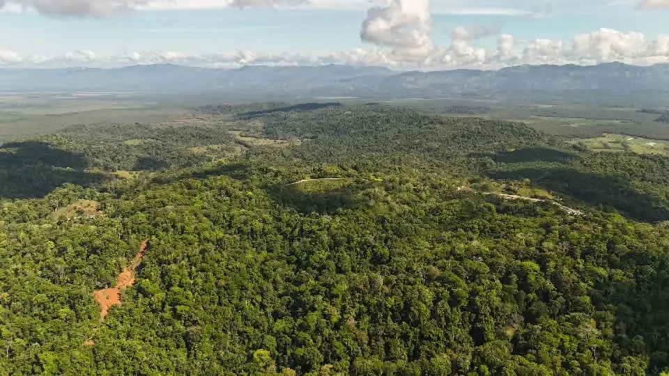 ¡Oportunidad! Venta de terreno en Puntarenas con gran biodiversidad.