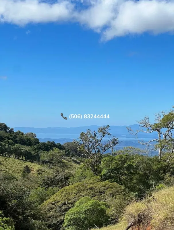 PROPERTY FOR SALE IN MONTEVERDE