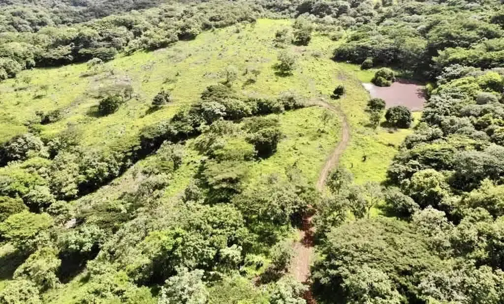 Venta finca Guanacaste Tilarán ganadera 114 hectáreas