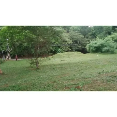 LOT FOR SALE, ALAJUELA, OROTINA, COYOLAR