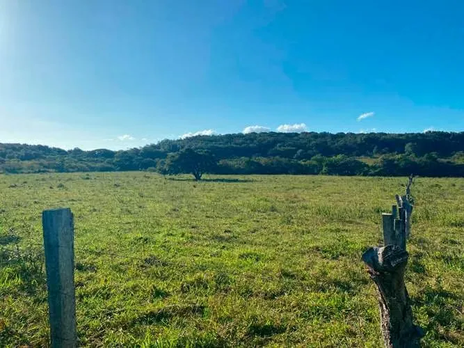 Finca San Jorge, Bagaces, Guanacaste