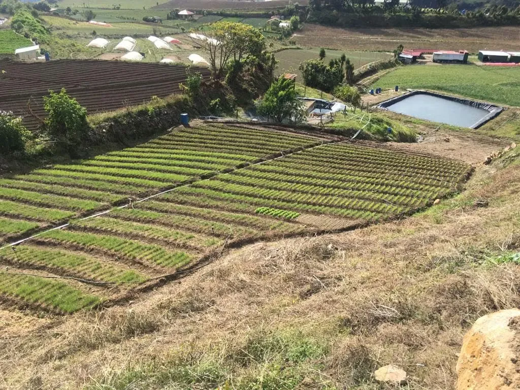 Finca en Venta en Tierra Blanca, Cartago ID 15030