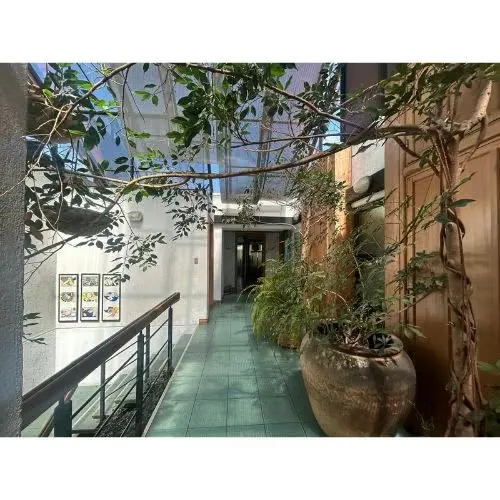 OFFICE RENTAL IN GREEN BUILDING, SAN JOSE, CABBAGE