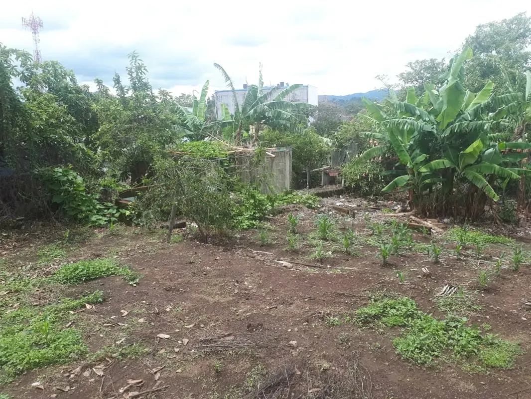 Land for Sale in Barrio Pinto, Montes de Oca ID 14599