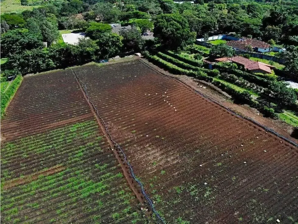 VENTA DE TERRENO PARA DESARROLLO, SAN RAFAEL, ALAJUELA 8097466 (HC)
