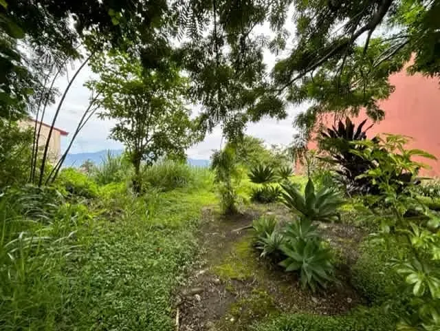 Lote Residencial y para Desarrollo, Guayabos, Curridabat id # 35198
