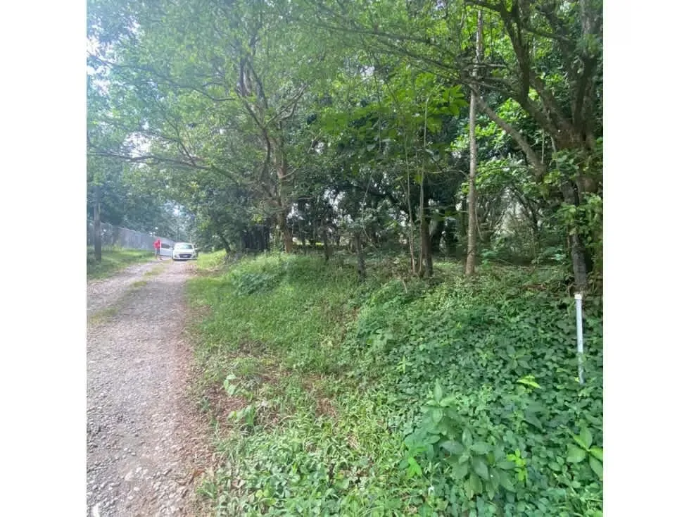 VENTA DE LOTE, USO MIXTO, ALAJUELA, OROTINA, HACIENDA VIEJA