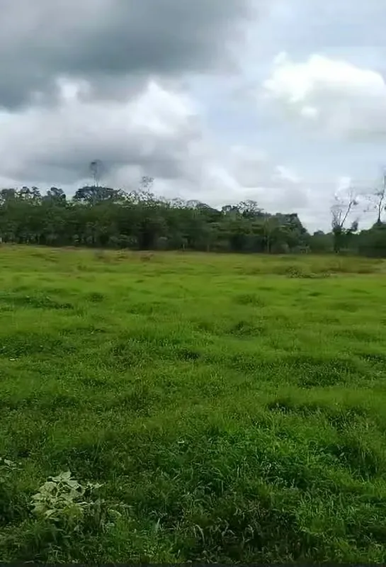 Property for sale in Horquetas 11 hectares