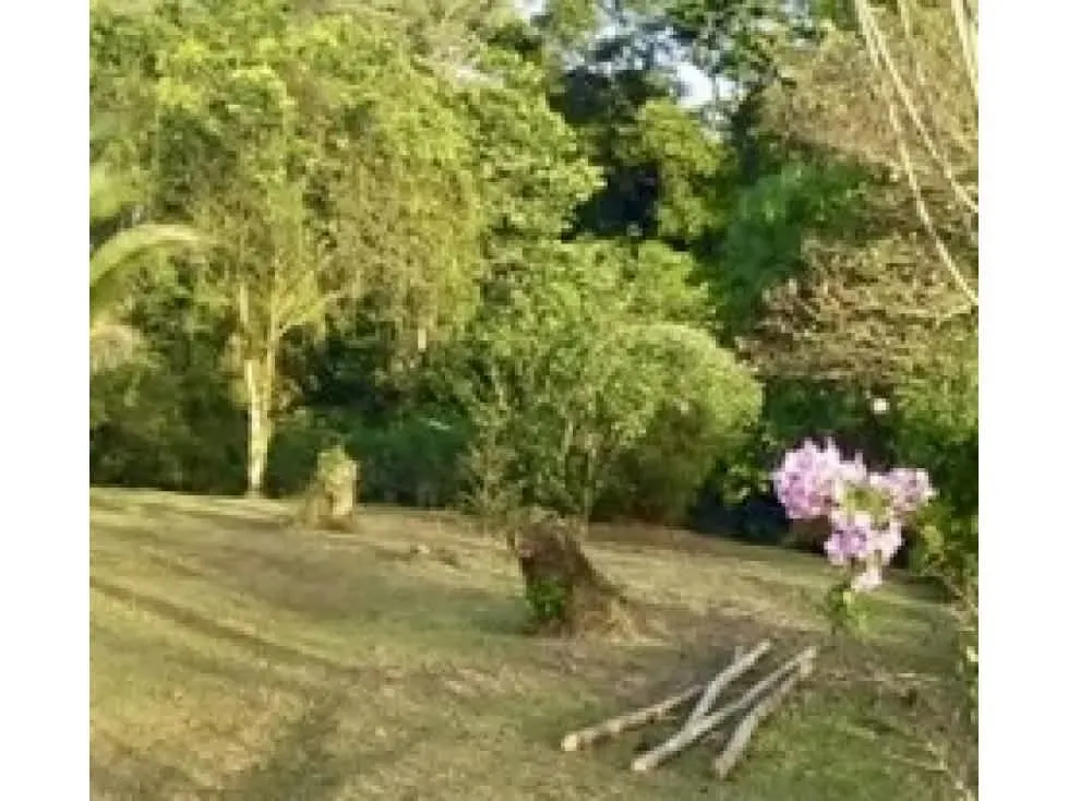 Venta de lote en Limón, Guácimo, La Angostura - Uso mixto