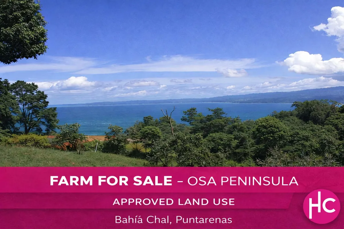 Farm for Sale in Osa Peninsula – Bahía Chal | Approved Land Use