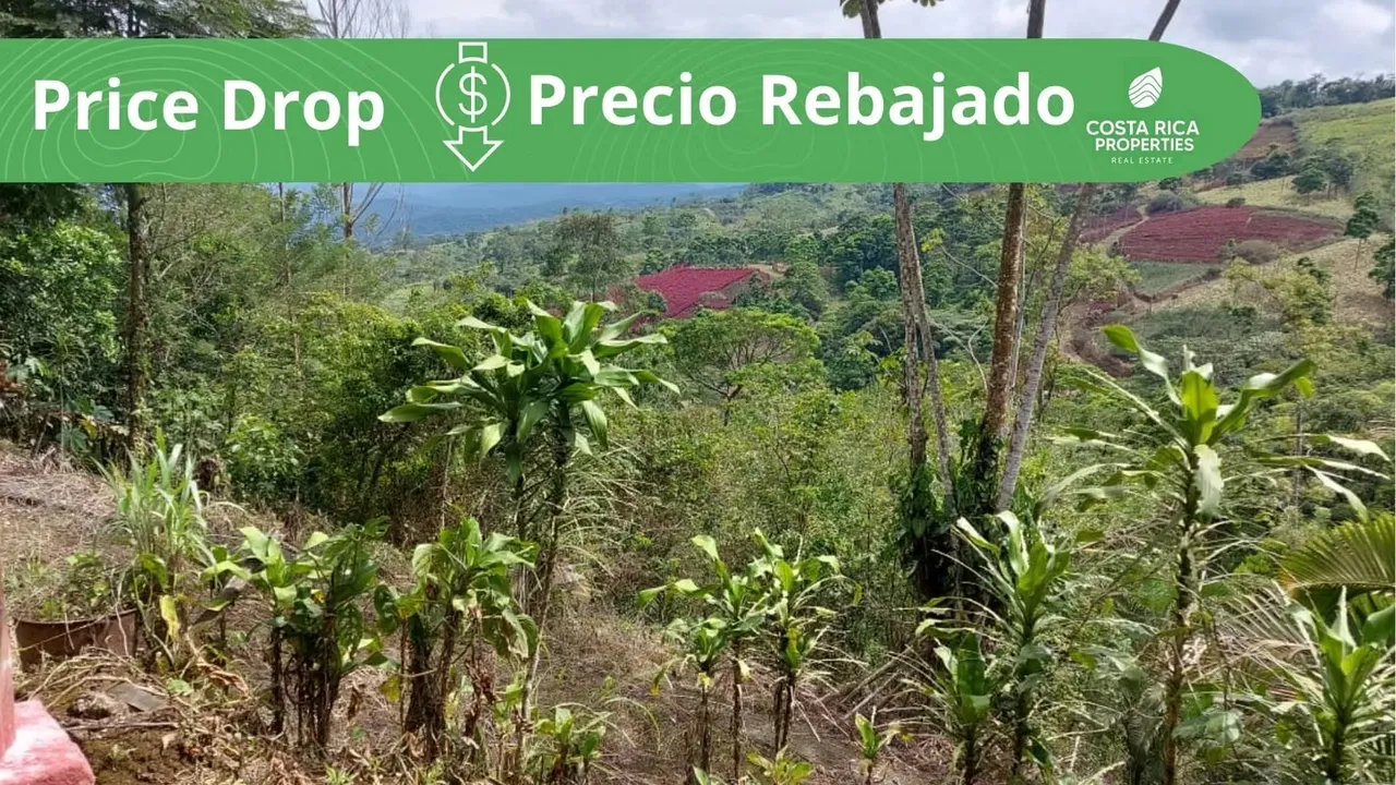 Finca en venta en La Tigra, San Carlos, riachuelo