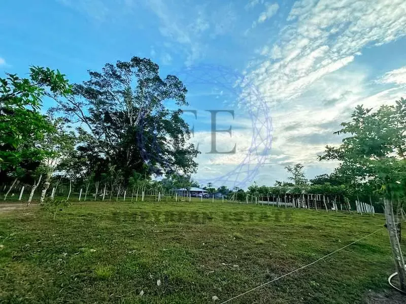 Venta finca San Carlos