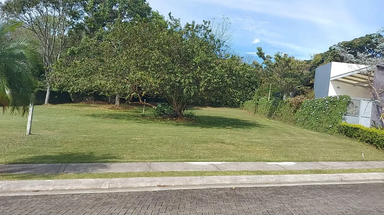 Lote en venta en Naranjo, plano 593m2, Plantation Estates