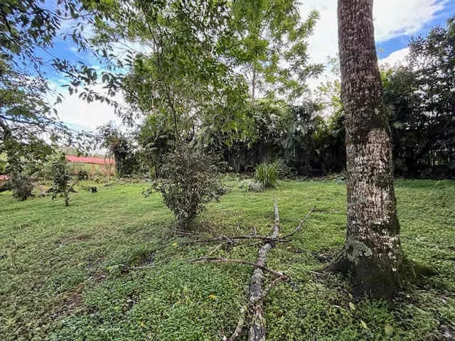 For sale nice mountain lot in San Ramón de Tres Ríos