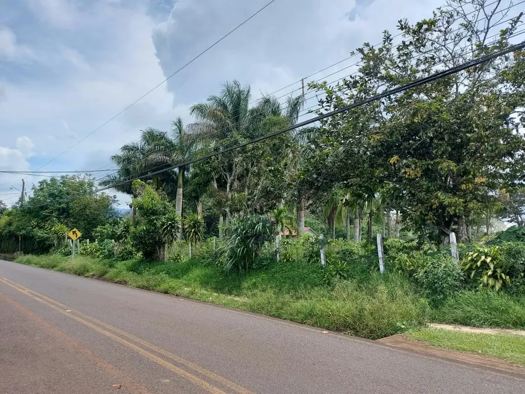 Finca en venta en Naranjo, plano ideal para desarrollo residencial