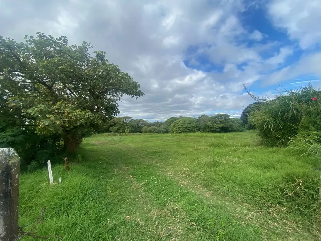 Sale of lot for housing development, Coronado, San José, #4984