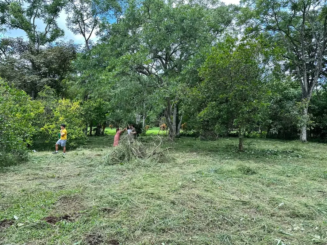 LAND FOR SALE IN ATENAS