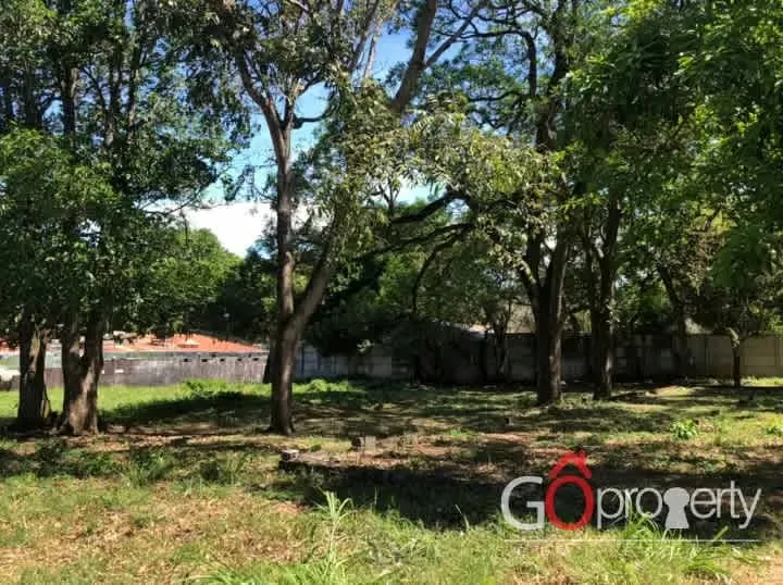 ** DESARROLLE SU PROYECTO HABITACIONAL O COMERCIAL EN CUIDAD COLÓN **