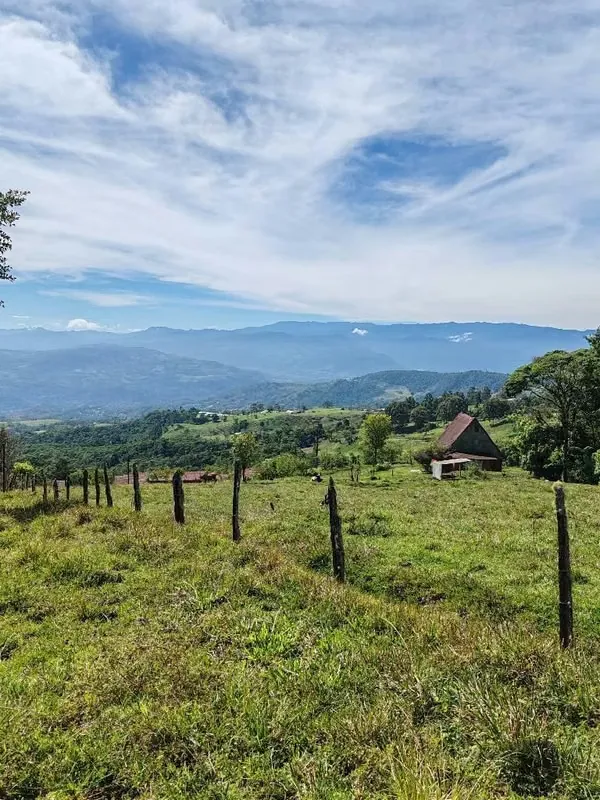 Venta terreno en santa cruz de Turrialba 9 Hectareas